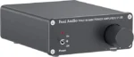 Fosi Audio V1.0B 2 Channel Stereo Audio Amplifier Receiver Mini Hi-Fi Class D